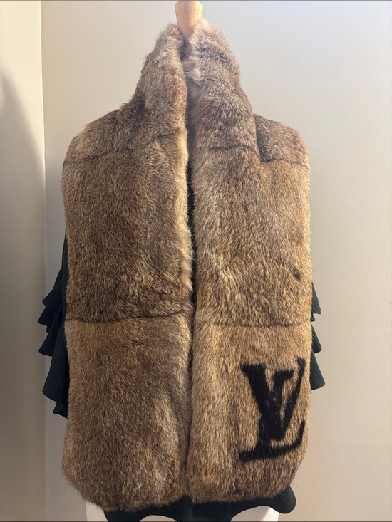 Louis Vuitton Accessories - Louis Vuitton Brown Rex Rabbit Fur Vest with Large Monogram